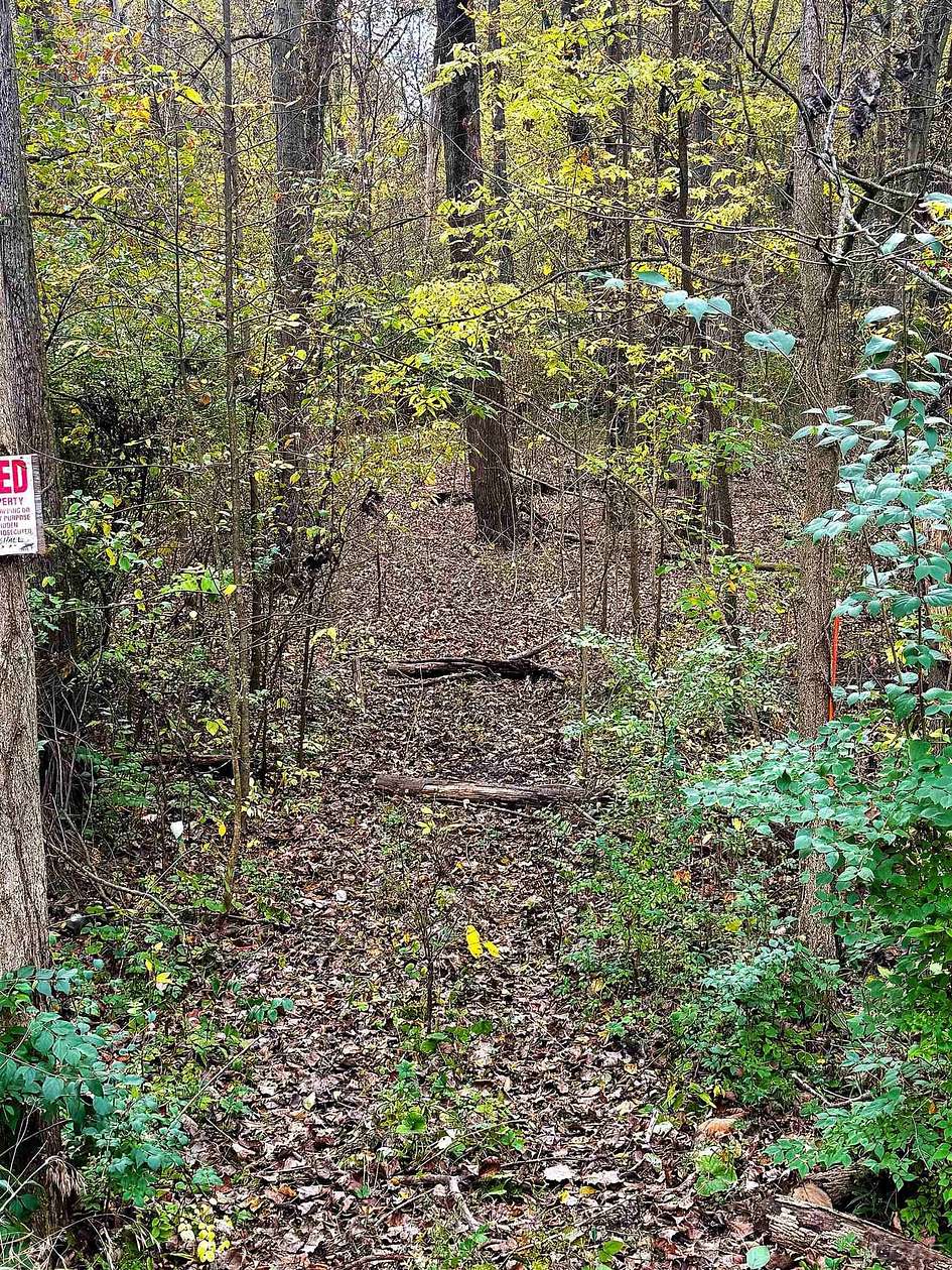 14 Acres of Recreational & Residential Land for Sale in Britton, Michigan