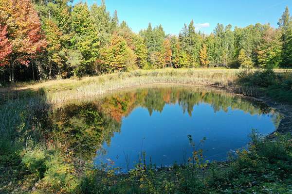 85 Acres of Recreational Land for Sale in Sugar Island, Michigan