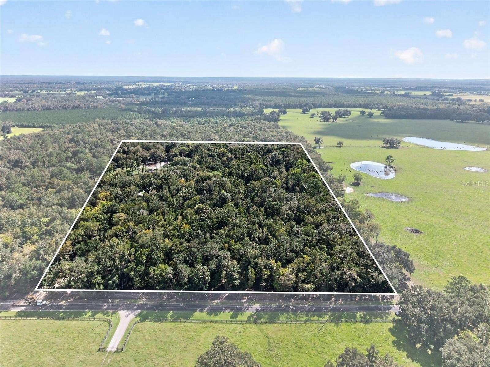 57.6 Acres of Agricultural & Residential Land for Sale in Morriston, Florida