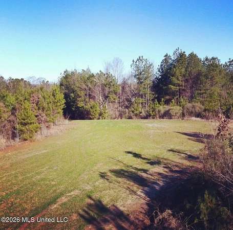 138 Acres of Recreational Land for Sale in Carthage, Mississippi