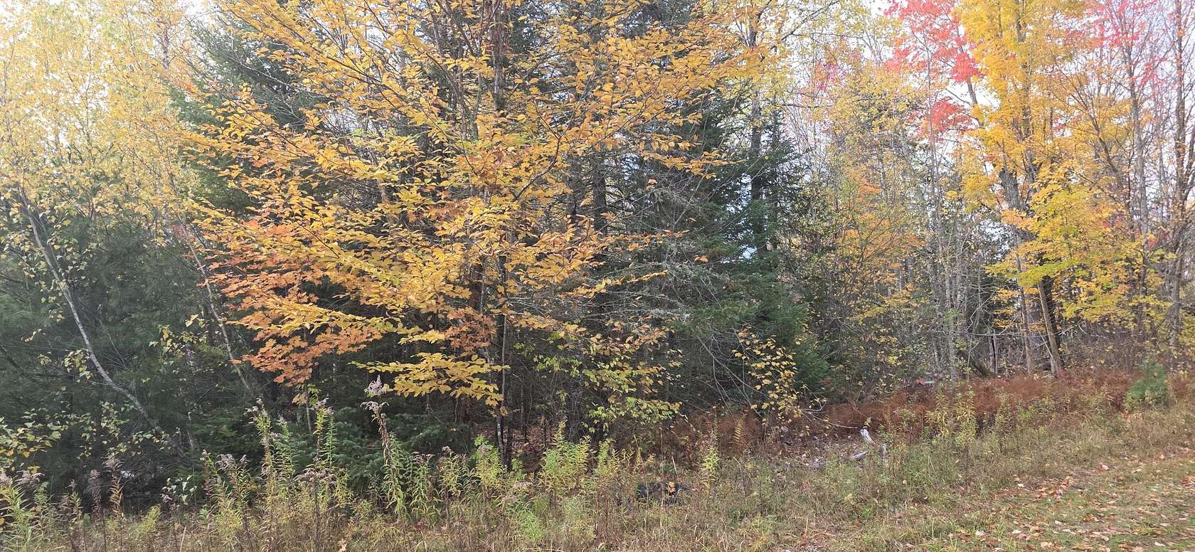 22 Acres of Recreational & Residential Land for Sale in Thorndike, Maine