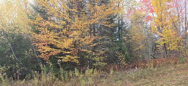22 Acres of Recreational & Residential Land for Sale in Thorndike, Maine