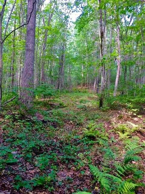 3 Acres of Residential Land for Sale in Kennebunk, Maine