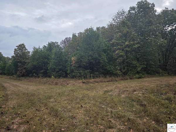 7 Acres of Land for Sale in Edwards, Missouri