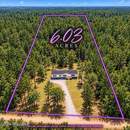 6 Acres of Land with Home for Sale in Waverly, Georgia