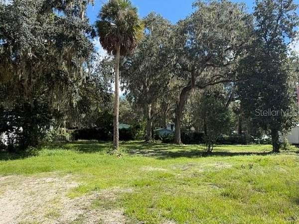 0.28 Acres of Residential Land for Sale in Lake Panasoffkee, Florida