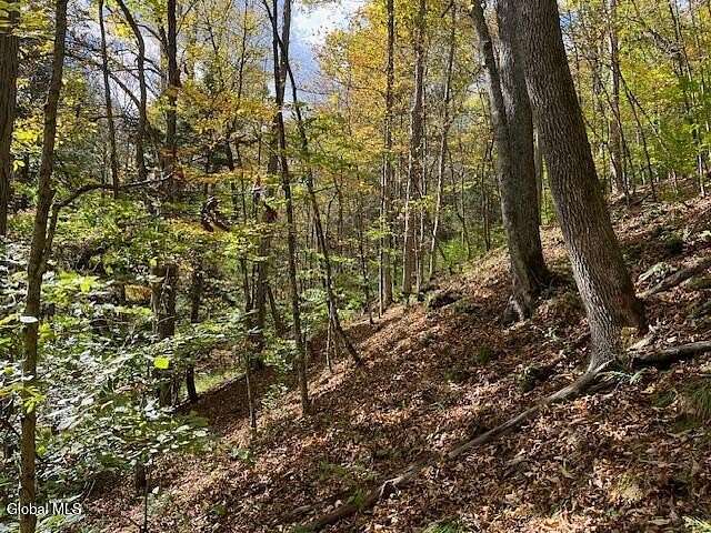 5.5 Acres of Land for Sale in Gilboa, New York