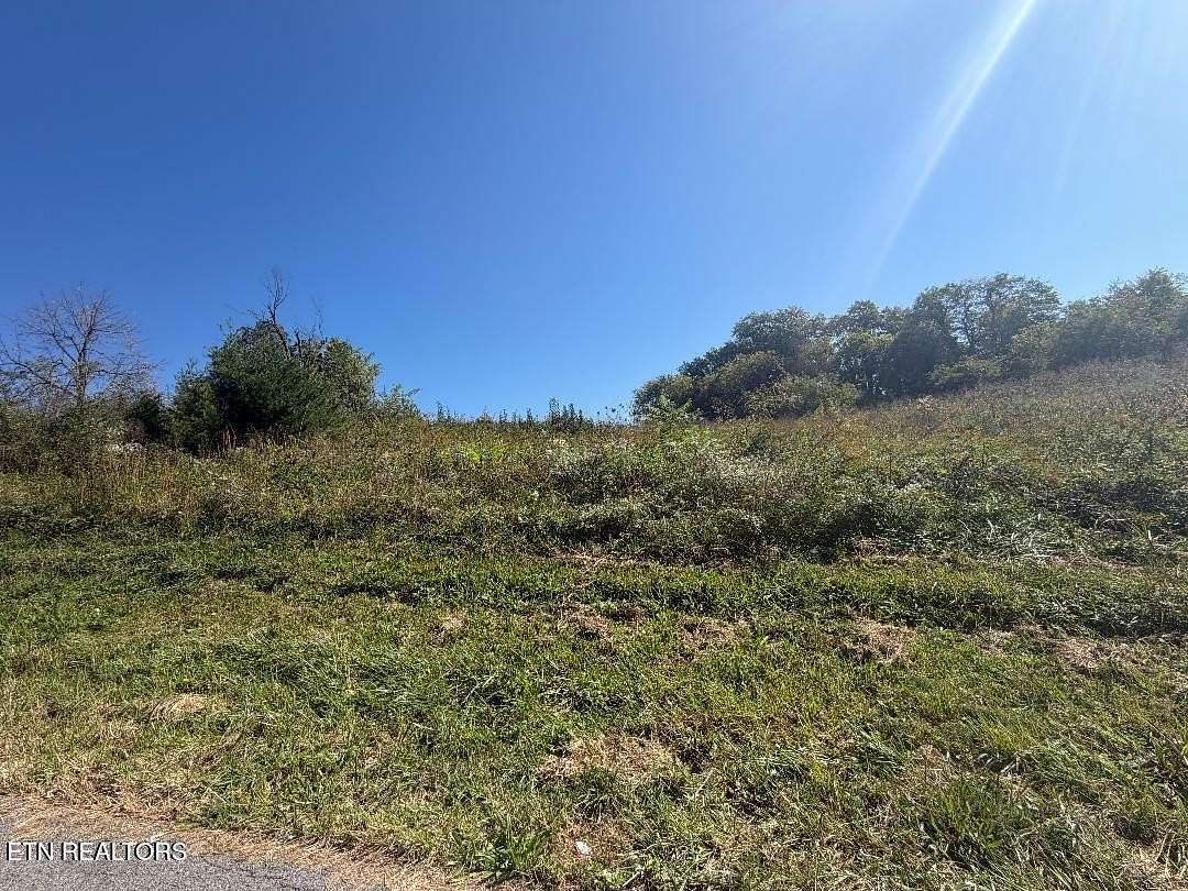 0.19 Acres of Residential Land for Sale in Newport, Tennessee