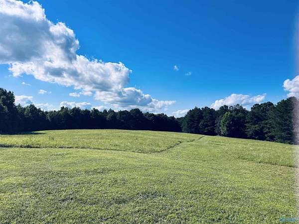 156 Acres of Recreational Land for Sale in Vinemont, Alabama