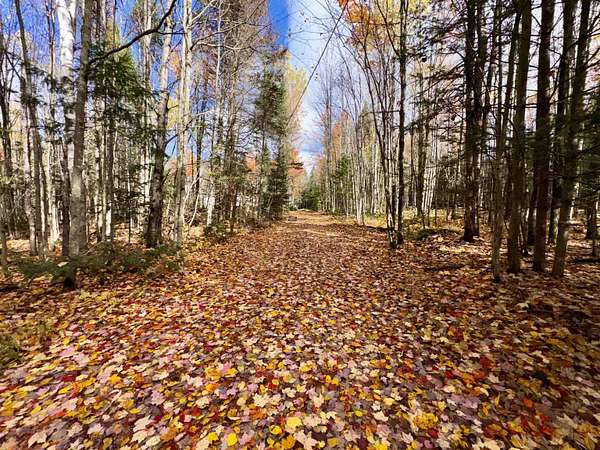 5.1 Acres of Residential Land for Sale in Stewartstown, New Hampshire