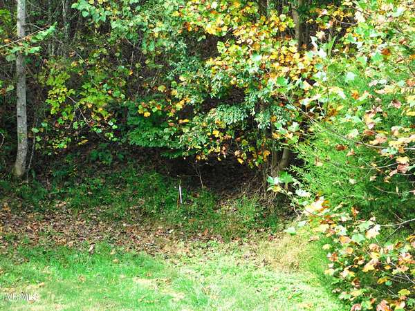 12.9 Acres of Land for Sale in Jonesville, Virginia