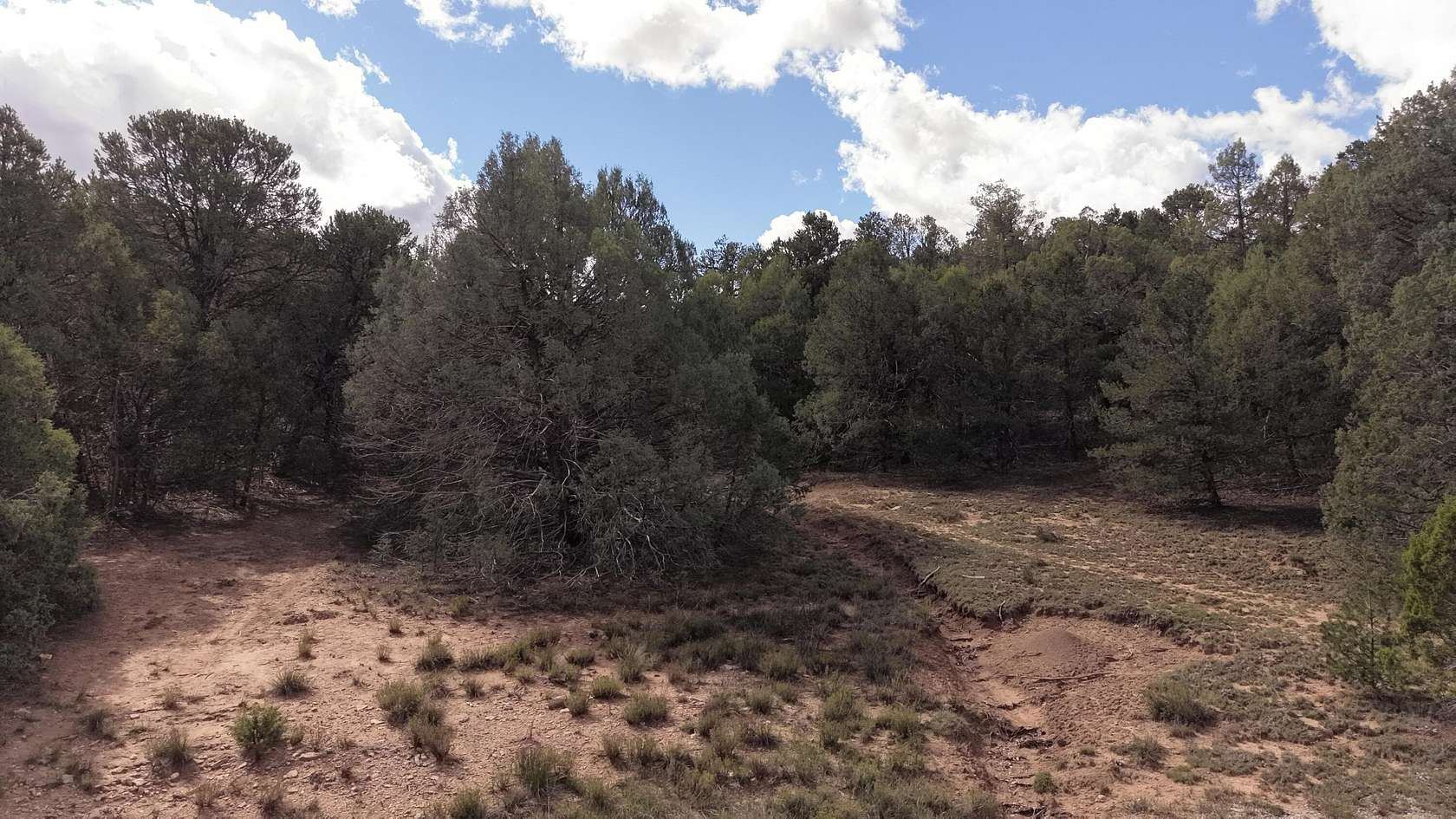 1.5 Acres of Residential Land for Sale in Tijeras, New Mexico