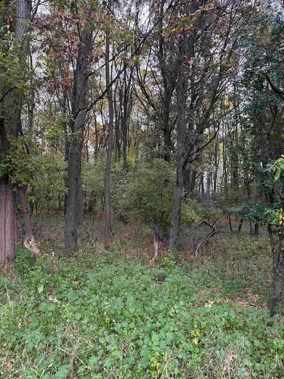 12.9 Acres of Land for Sale in Waupaca, Wisconsin