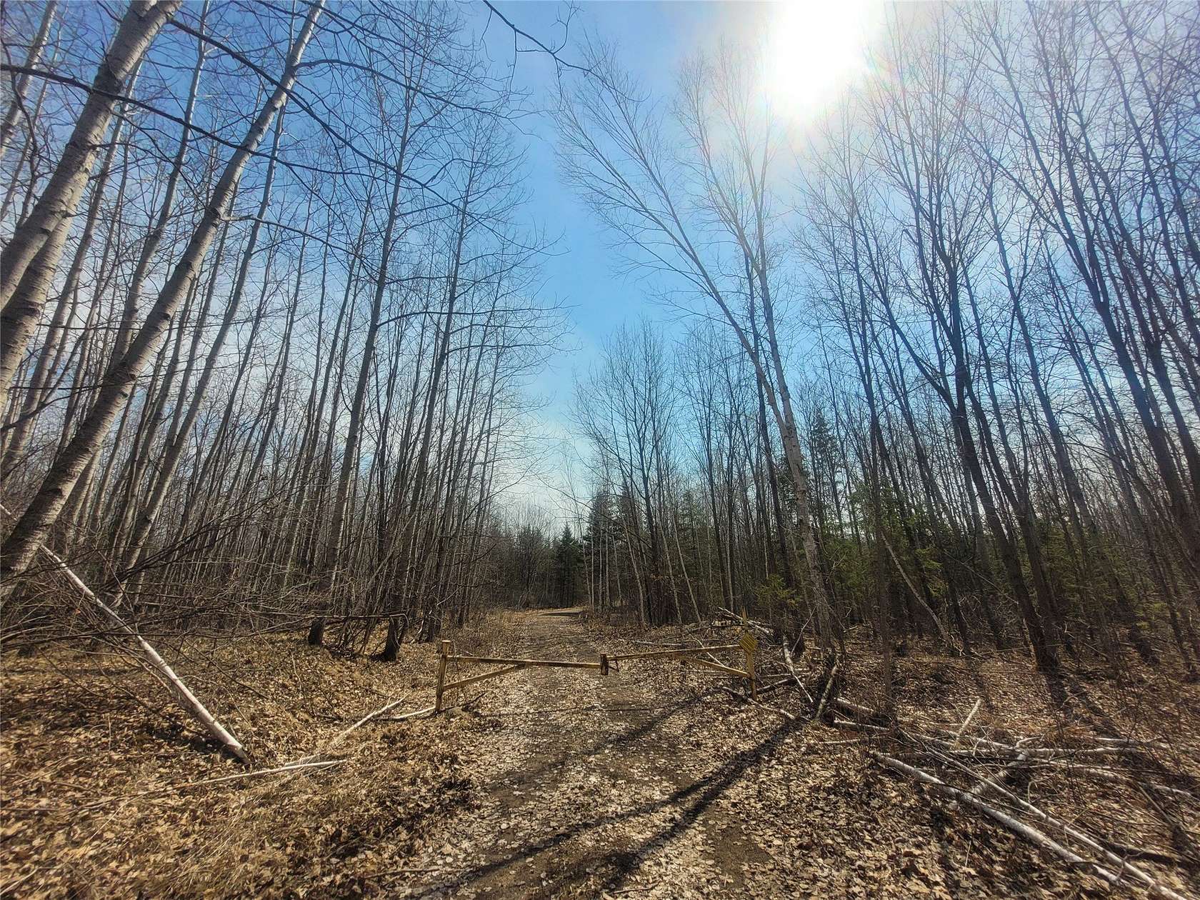 465 Acres of Recreational Land for Sale in Ladysmith, Wisconsin