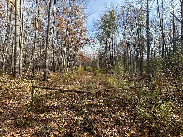 465 Acres of Recreational Land for Sale in Ladysmith, Wisconsin
