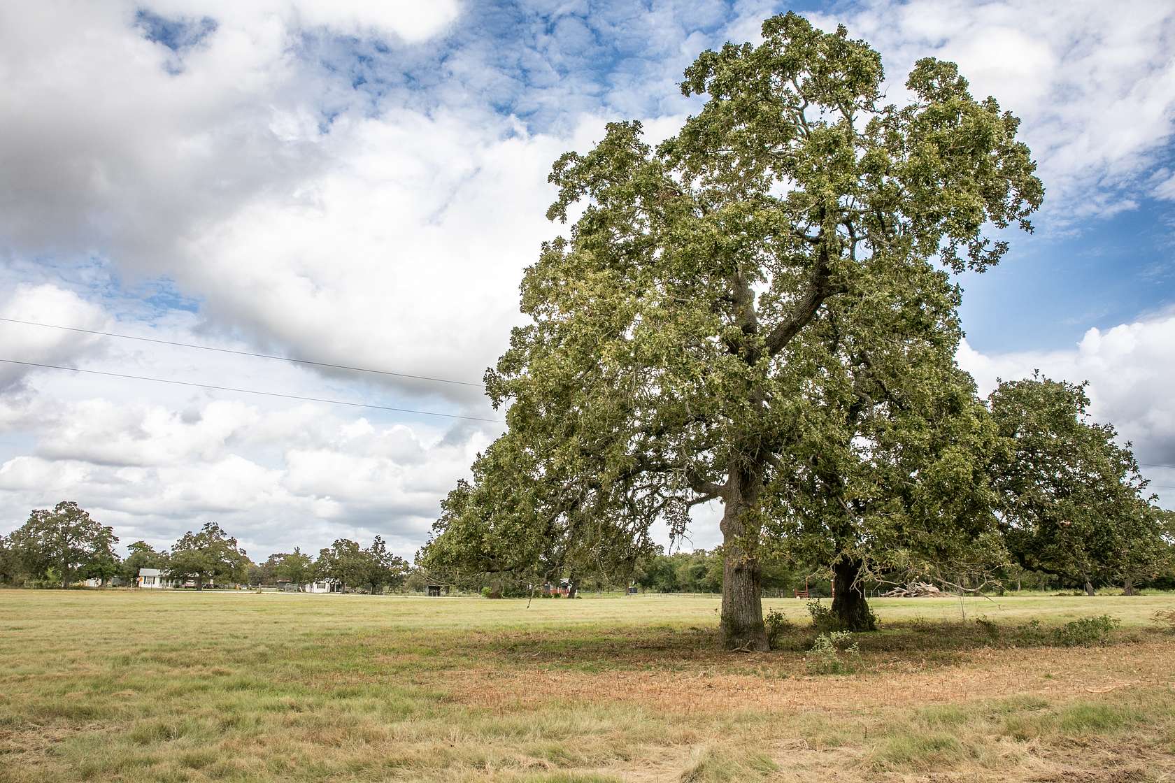 1.84 Acres of Mixed-Use Land for Sale in Burton, Texas