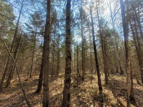 1,501 Acres of Recreational Land for Sale in Conrath, Wisconsin
