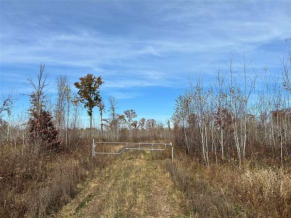 1,501 Acres of Recreational Land for Sale in Conrath, Wisconsin