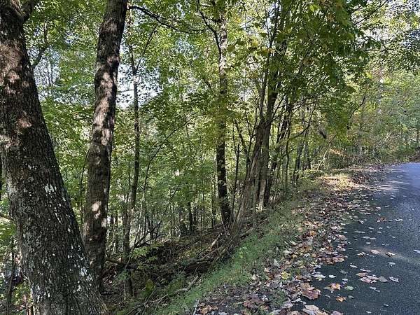 1 Acre of Residential Land for Sale in Blue Ridge, Georgia