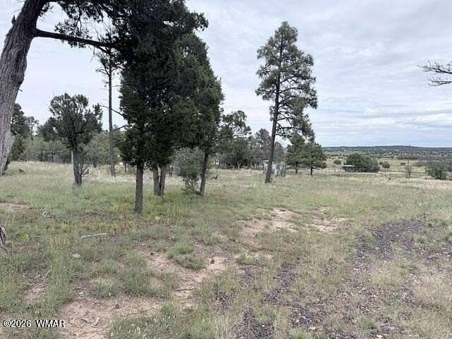 3 Acres of Residential Land for Sale in Show Low, Arizona