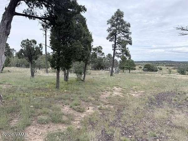 3 Acres of Residential Land for Sale in Show Low, Arizona