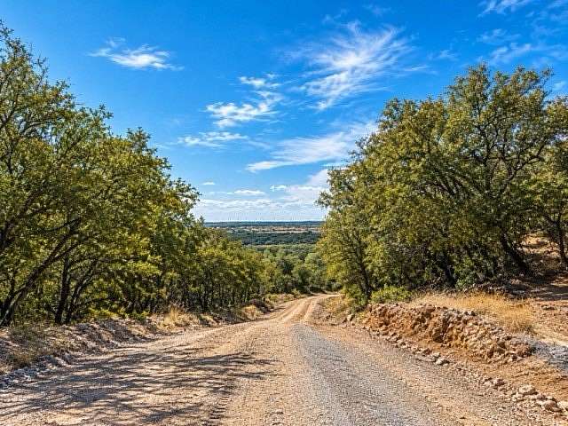 51 Acres of Recreational Land for Sale in Jacksboro, Texas