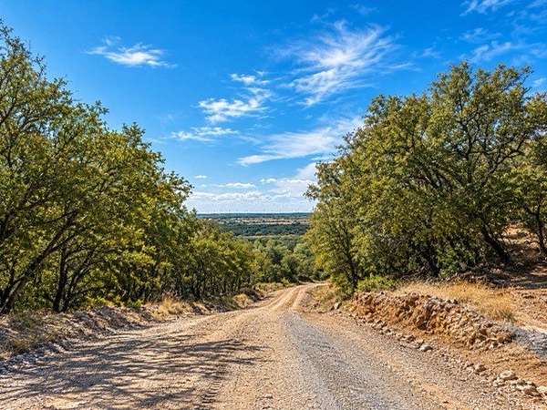 51 Acres of Recreational Land for Sale in Jacksboro, Texas