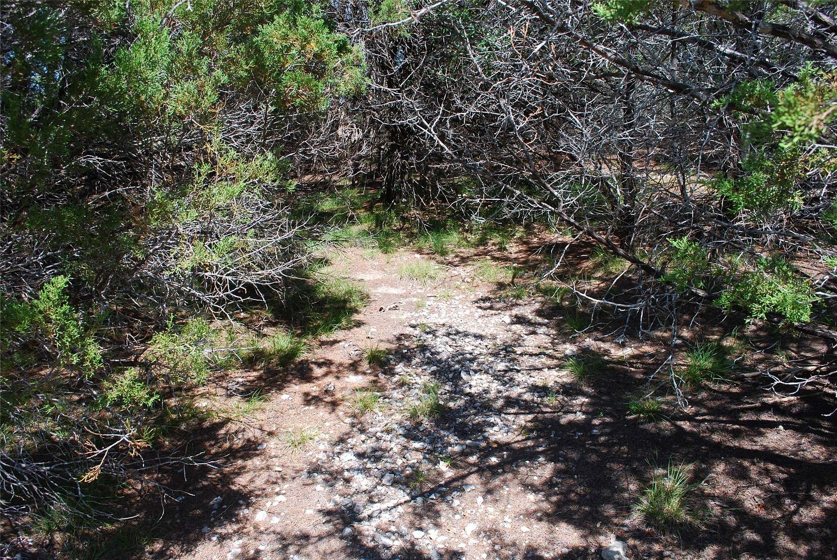 0.08 Acres of Residential Land for Sale in Whitney, Texas