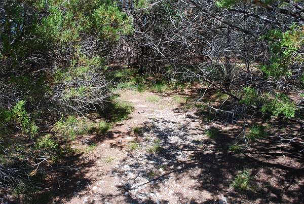 0.08 Acres of Residential Land for Sale in Whitney, Texas