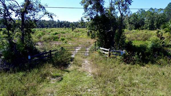 20 Acres of Recreational & Residential Land for Sale in Lamont, Florida