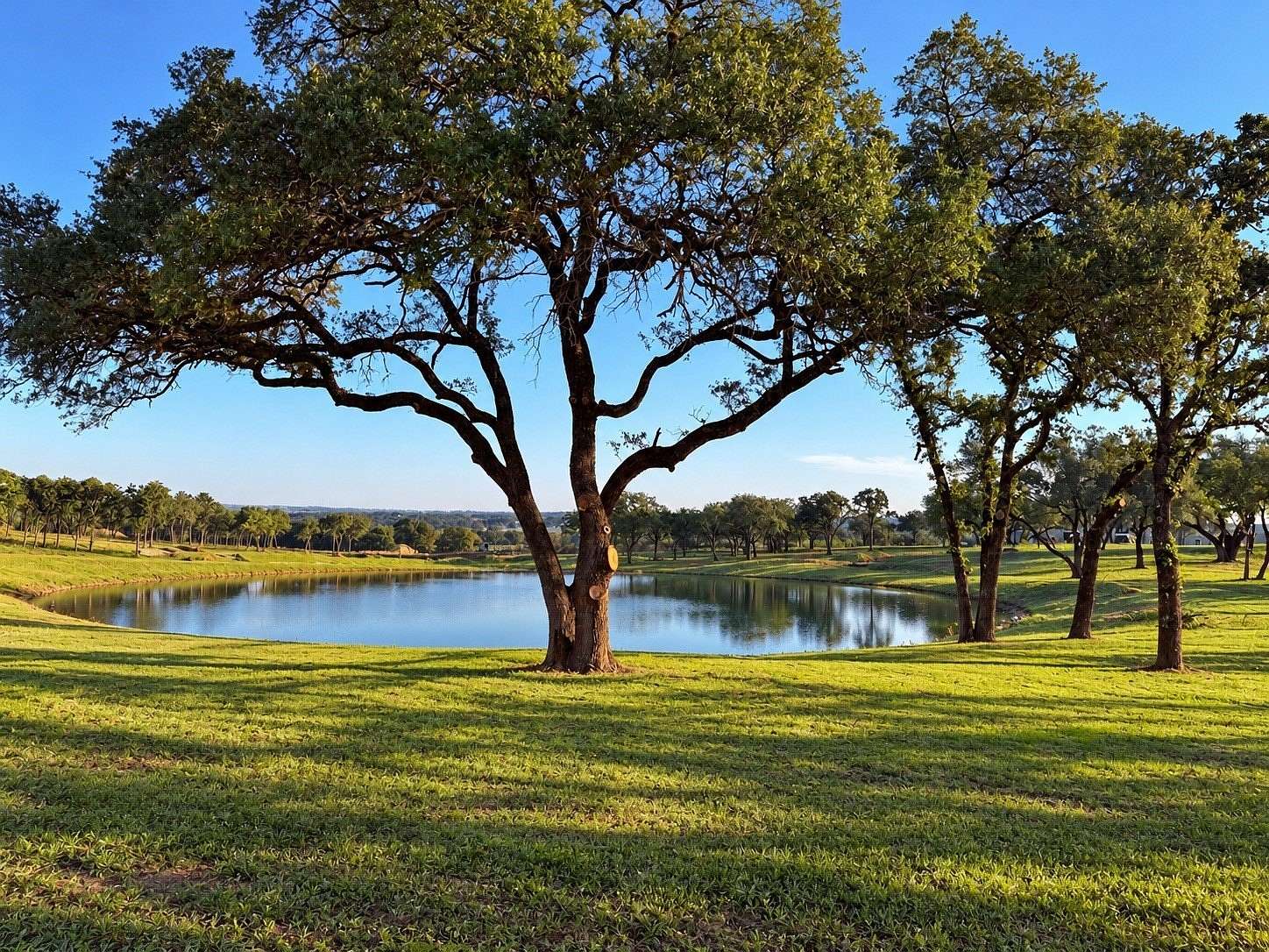 2 Acres of Residential Land for Sale in Weatherford, Texas