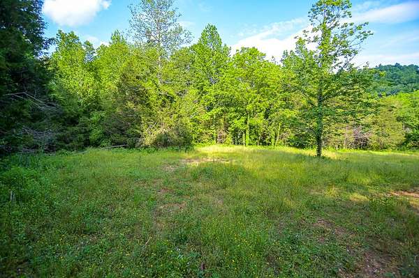 35.9 Acres of Agricultural & Residential Land for Sale in Dellrose, Tennessee