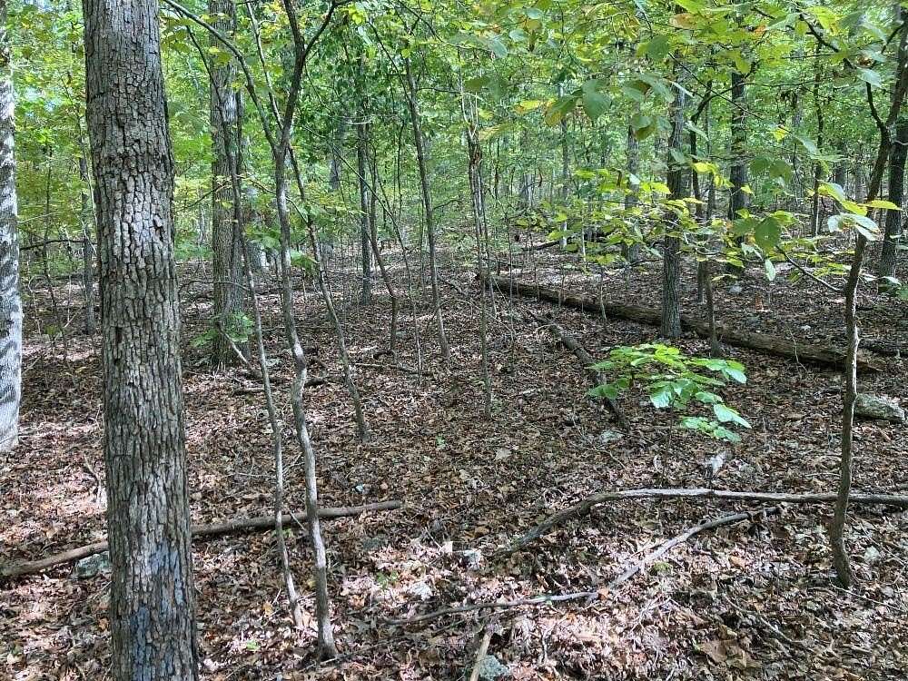 0.51 Acres of Residential Land for Sale in Hardy, Arkansas