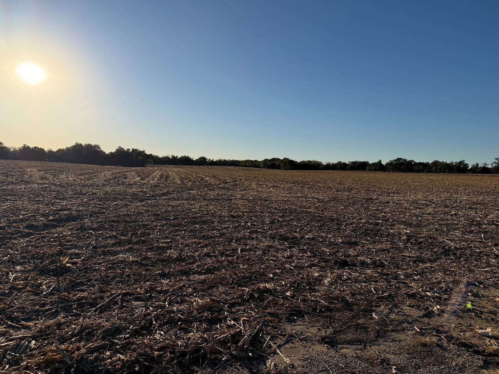 49.5 Acres of Land for Auction in Belleville, Illinois