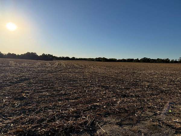 49.5 Acres of Land for Auction in Belleville, Illinois