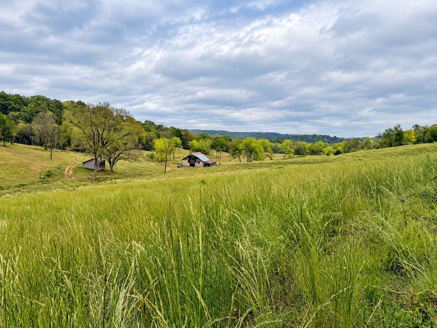 106 Acres of Land for Sale in Hampshire, Tennessee