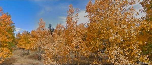 2.29 Acres of Residential Land for Sale in Como, Colorado