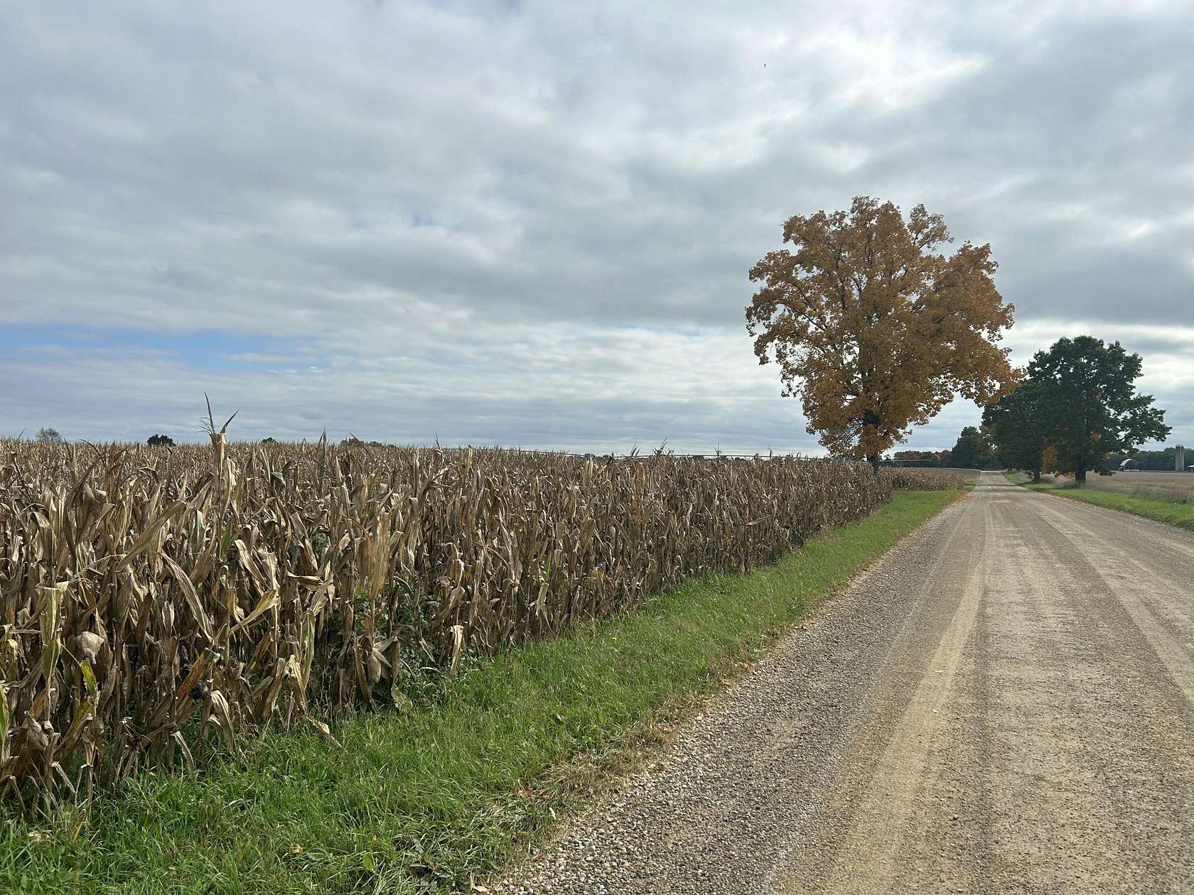 20 Acres of Agricultural & Residential Land for Sale in Hickory Corners, Michigan