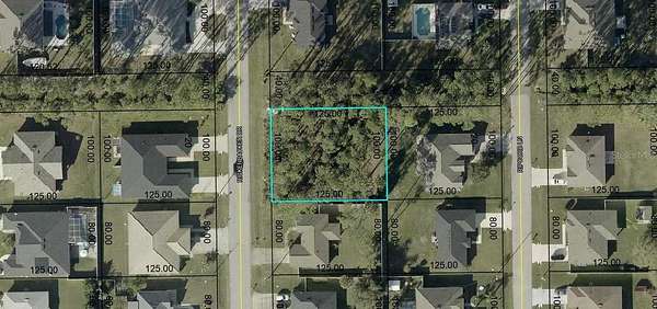 0.29 Acres of Land for Sale in Palm Coast, Florida