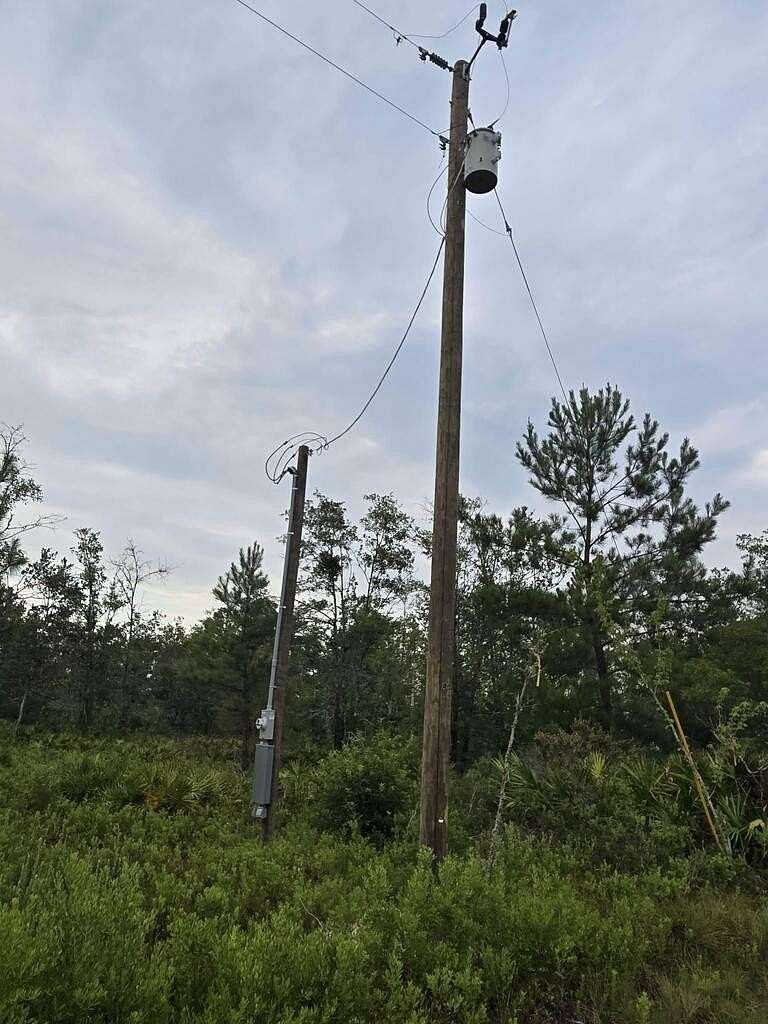 2.5 Acres of Land for Sale in Naylor, Georgia