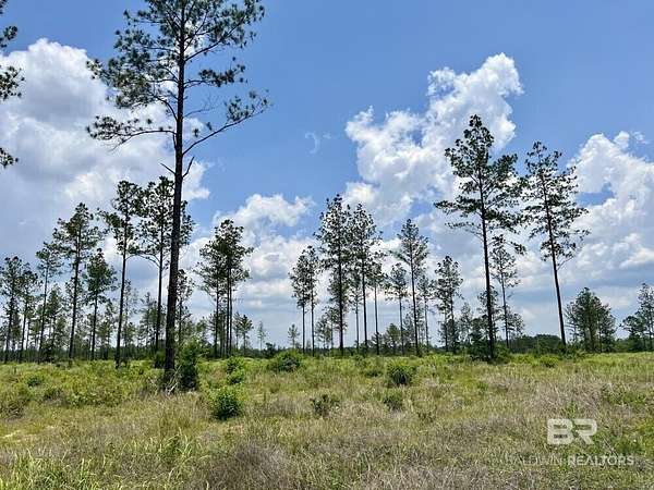 54.5 Acres of Mixed-Use Land for Sale in Robertsdale, Alabama