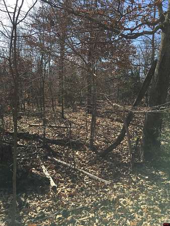 2.6 Acres of Land for Sale in Viola, Arkansas