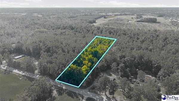 1 Acre of Residential Land for Sale in Latta, South Carolina