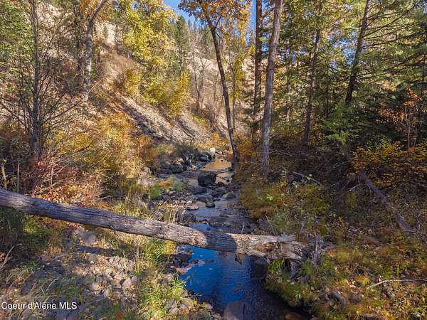10 Acres of Land for Sale in St. Maries, Idaho