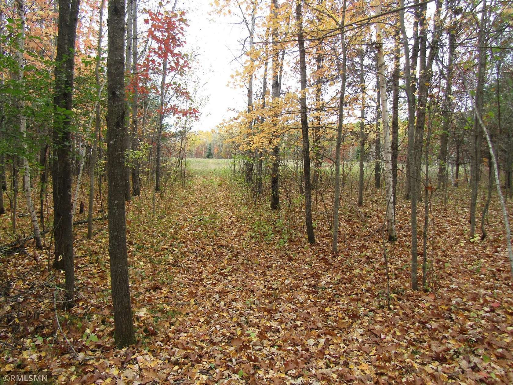 152 Acres of Land for Sale in Pine City, Minnesota