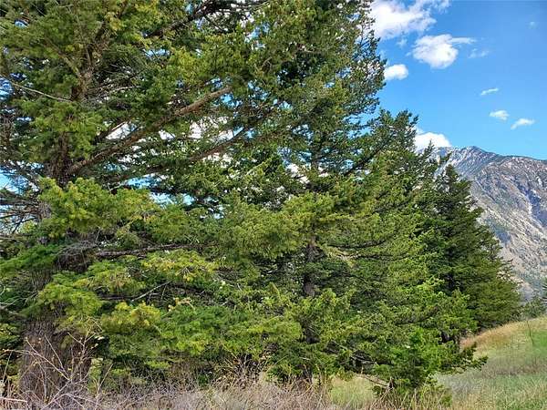 0.18 Acres of Land for Sale in Nye, Montana