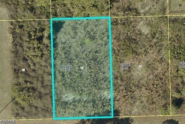 0.25 Acres of Residential Land for Sale in Lehigh Acres, Florida