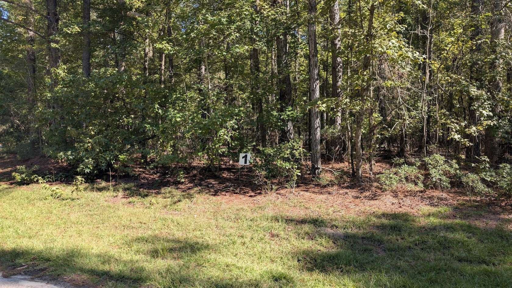 1.18 Acres of Residential Land for Sale in Summerton, South Carolina