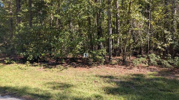 1.18 Acres of Residential Land for Sale in Summerton, South Carolina