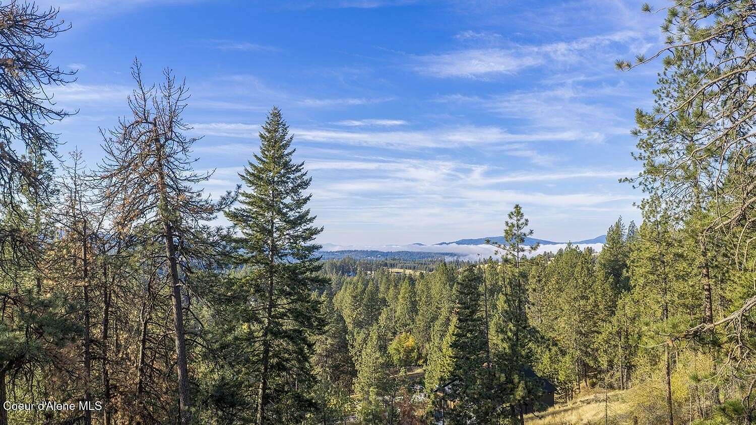 11.3 Acres of Land for Sale in Coeur d'Alene, Idaho